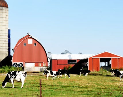 dairy farm