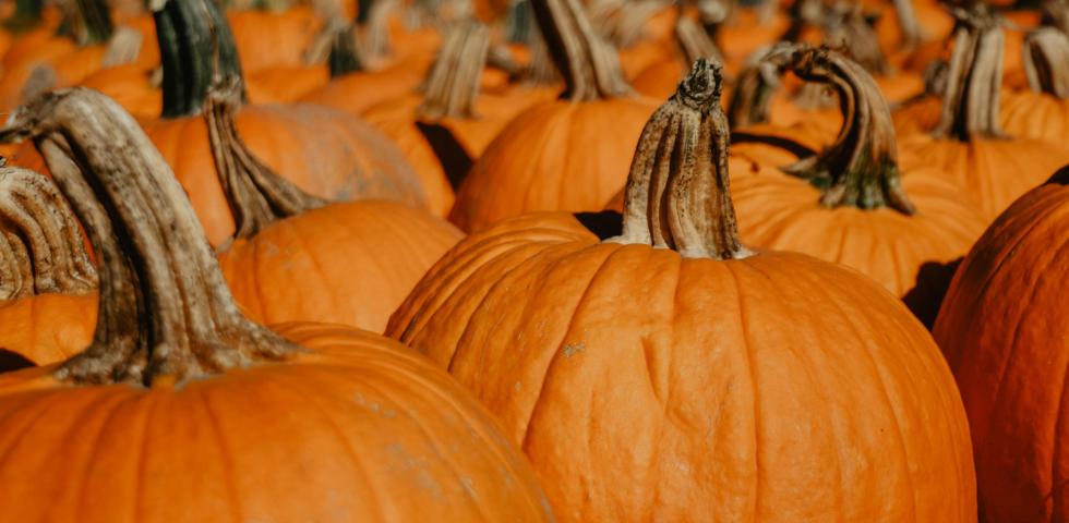 PUMPKINS