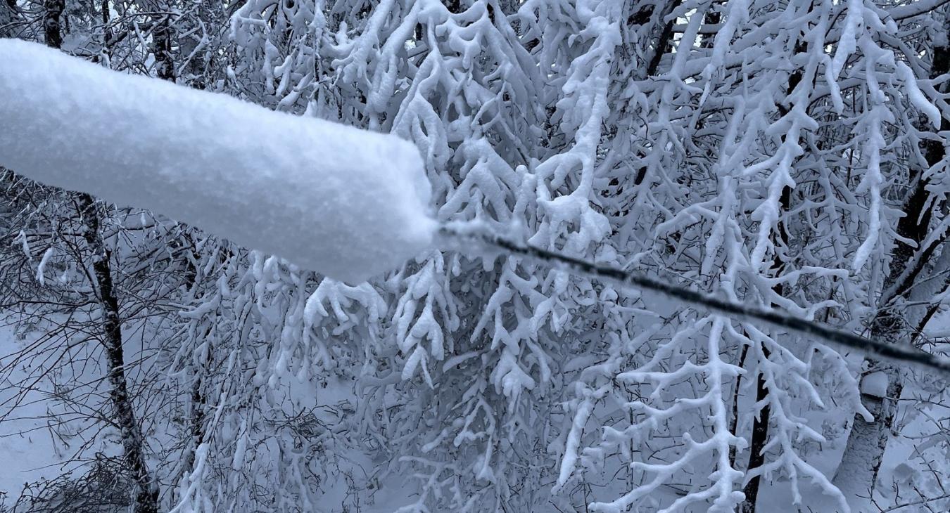 SNOW ON LINES